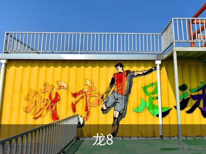 龙8概况